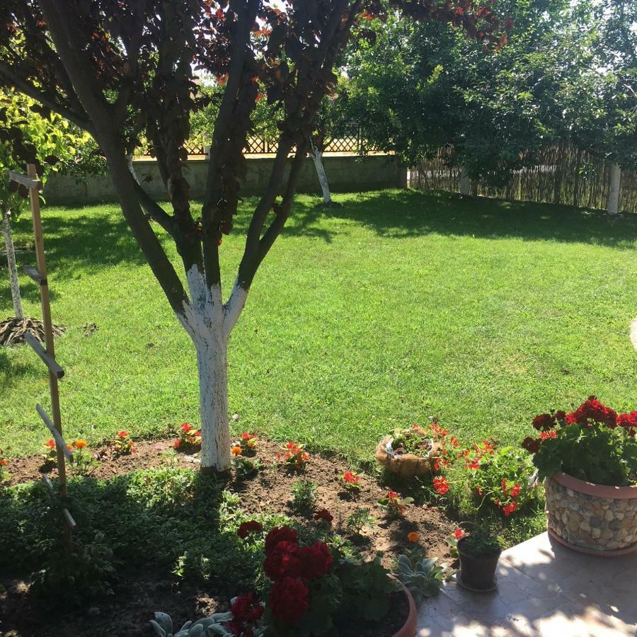 Sangaj Apartment Beograd Bagian luar foto